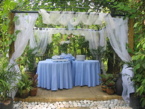 gardensetup1.jpg
